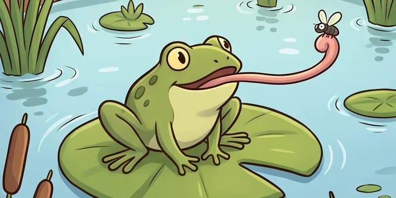 Gambar Katak Kartun Lucu: Kodok Daun Teratai sampai Raja Kolam