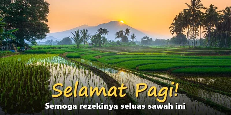 Kumpulan Gambar Ucapan Selamat Pagi yang Kocak dan Kekinian