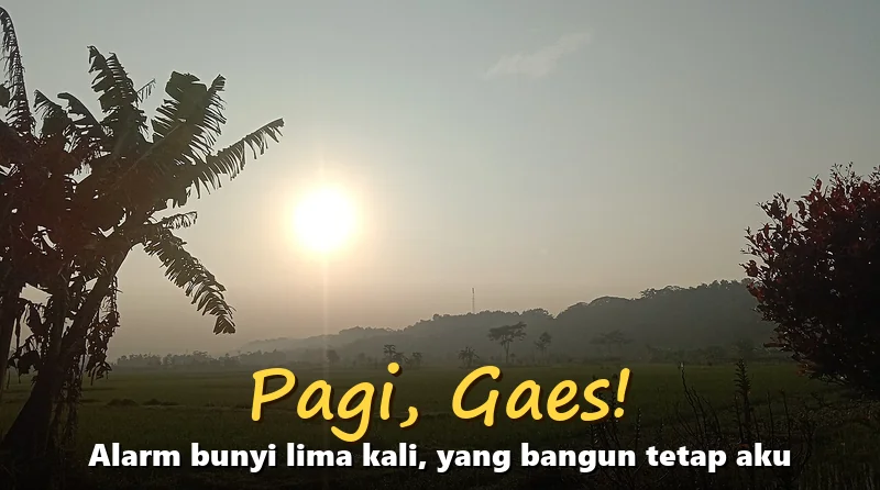 Gambar ucapan selamat pagi lucu dengan latar matahari terbit di balik pohon pisang dan tulisan Pagi Gaes, Alarm bunyi lima kali yang bangun tetap aku