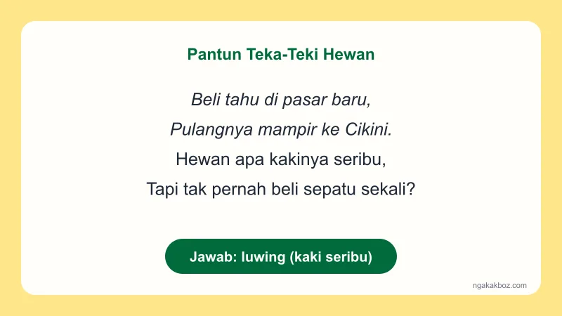 Kartu pantun teka-teki bertema hewan berisi empat baris pantun tentang kaki seribu dengan jawaban luwing